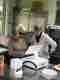 Instruktion an der Kasse